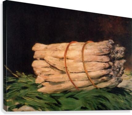 Asperagus Canvas Print