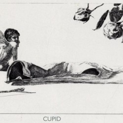 Cupid