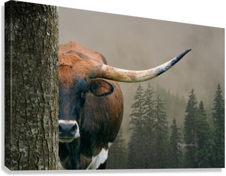 Longhorn Cow In Trees Canvas Print