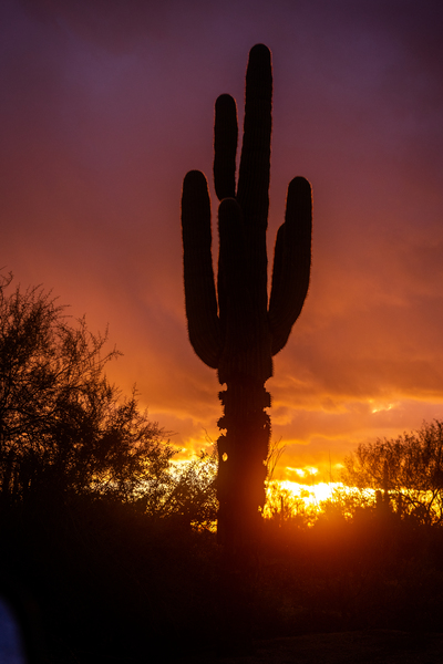 cavecreeksunset 02 Print