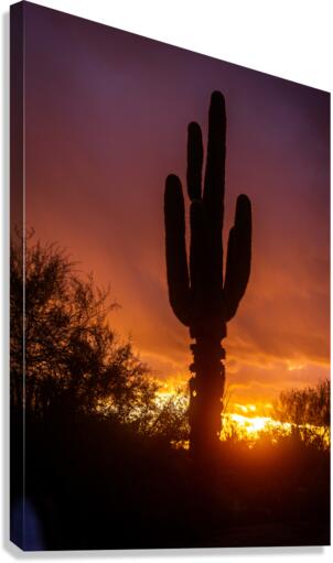 cavecreeksunset 02 Canvas Print