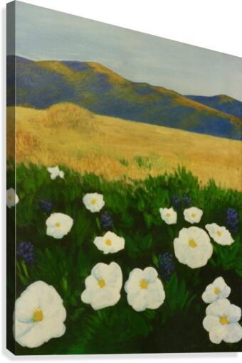 Poppies Canvas Print