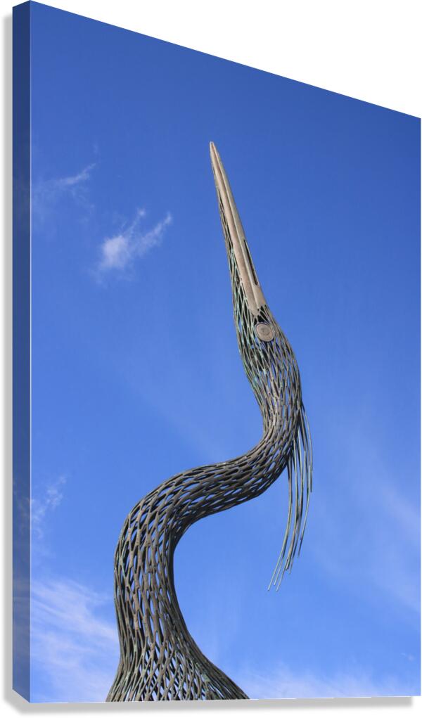 Heron Profile Canvas Print