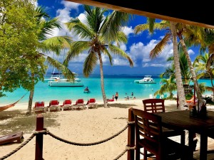 Jost Van Dyke Delight