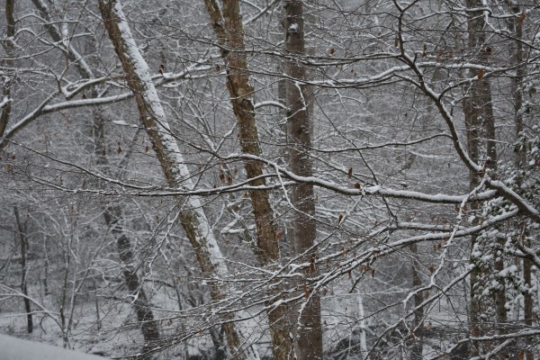 Snow in the South Print