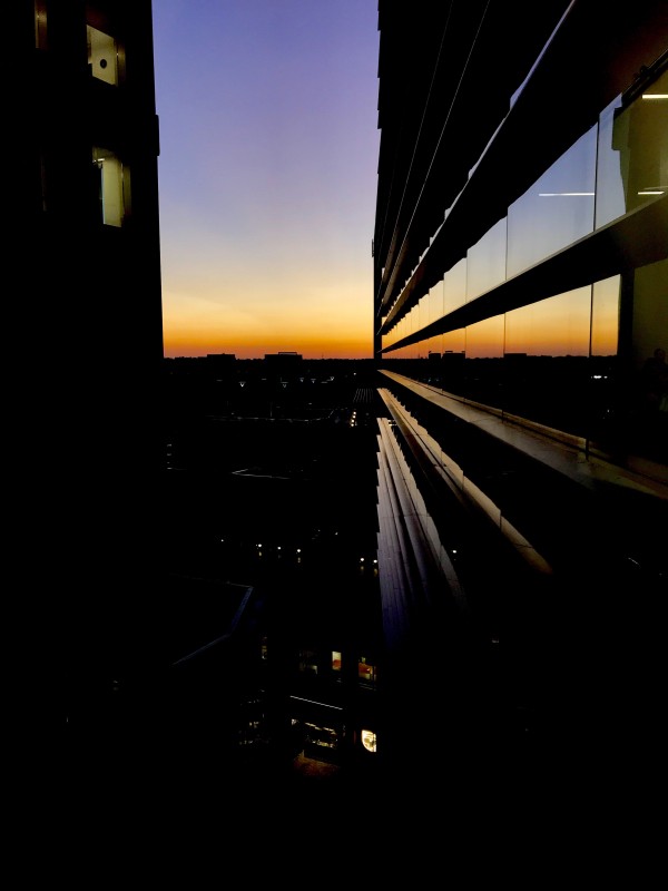 Clemson Sunset Print