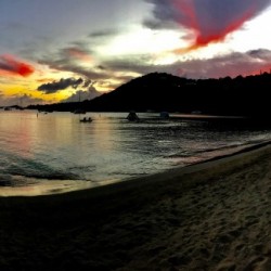 Virgin Island Delight