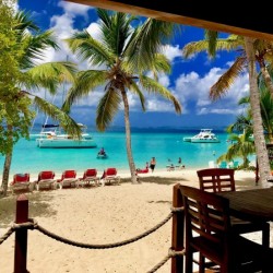 Jost Van Dyke Delight