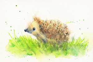Curious little hedgehog in the meadow watercolor painting