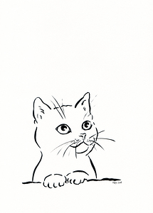 cute cat pen and ink drawing
