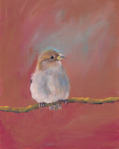 Sparrow meeting part two