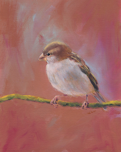 Sparrow meeting part three