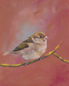 Sparrow meeting part one