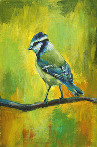 Blue tit bird portrait acrylic painting 