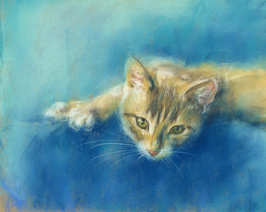 Cute little tabby cat