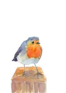 Robin on a perch watercolor painting