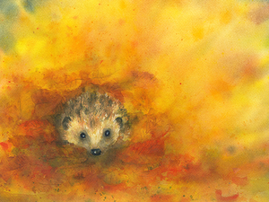 Hedgehog in autumn leaves 
