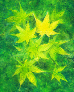 Maple leaves in green acrylic painting