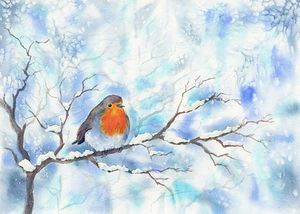 Robin in a winter landscape