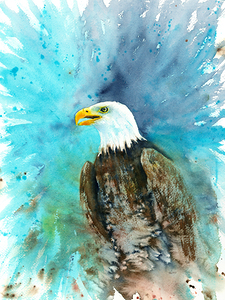 Portrait of a bald eagle watercolor painting