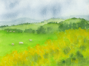 Tranquil Green Pasture Scene