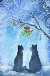 Two cats meet under the mistletoe