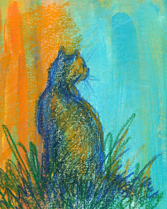 Cat study in orange and blue