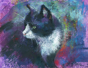 Tuxedo cat soft pastels painting 
