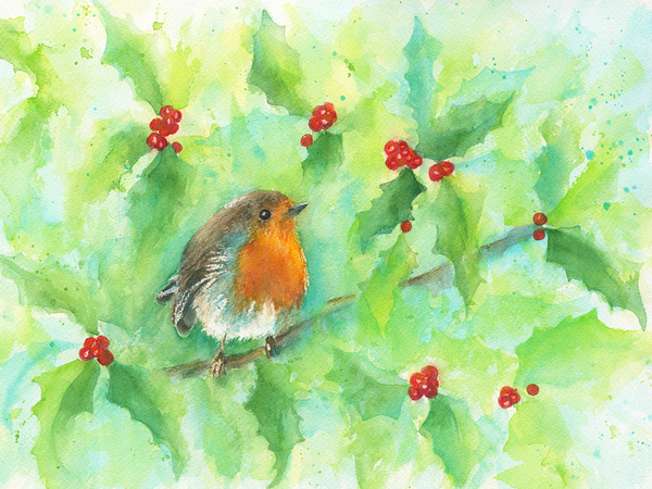 Robin in a holly bush Print