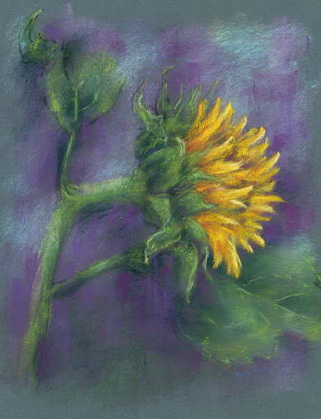 Single sunflower soft pastels painting Print