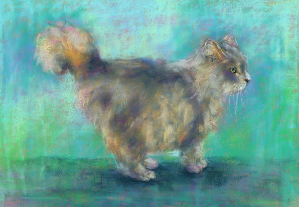 Fluffy longhair cat soft pastels painting Print