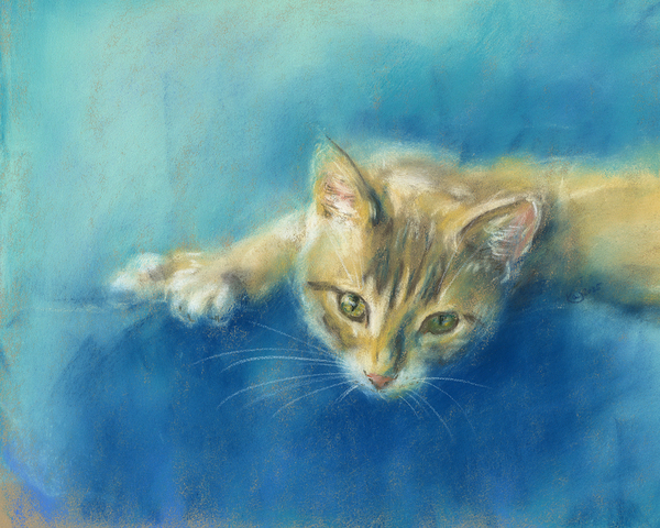 Cute little tabby cat Print