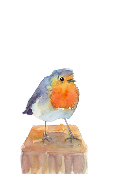 Robin on a perch watercolor painting Print