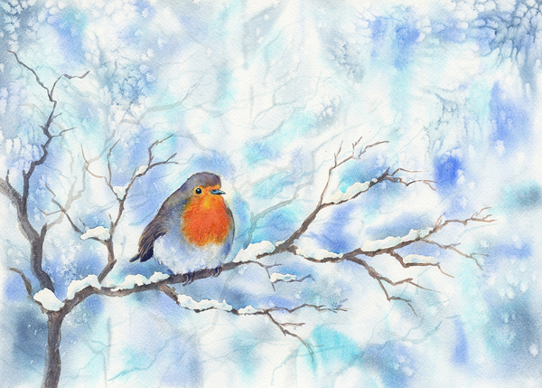 Robin in a winter landscape Print