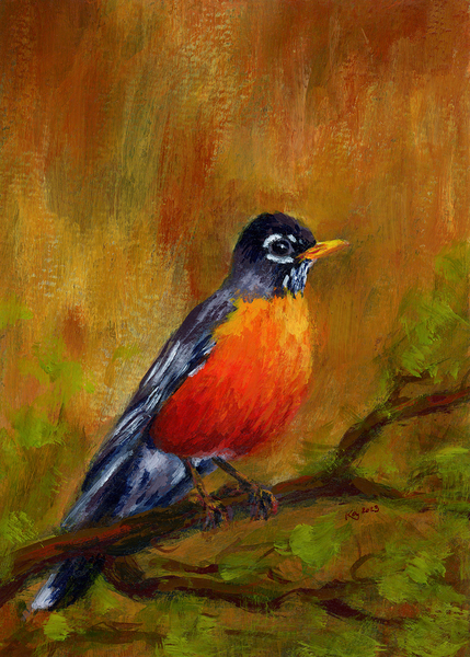 North American Robin portrait Imprimer