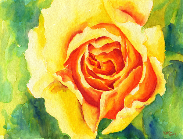 Yellow rose watercolor painting  Print