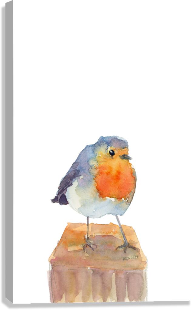 Robin on a perch watercolor painting Canvas Print