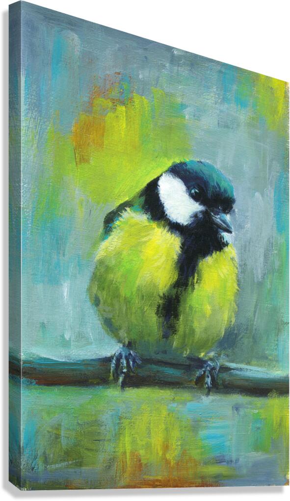 Great tit acrylic painting  Canvas Print