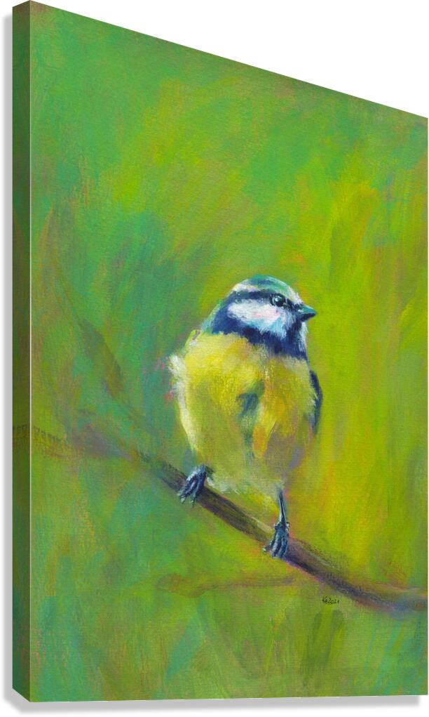 Portrait of Eurasian blue tit acrylic painting  Canvas Print
