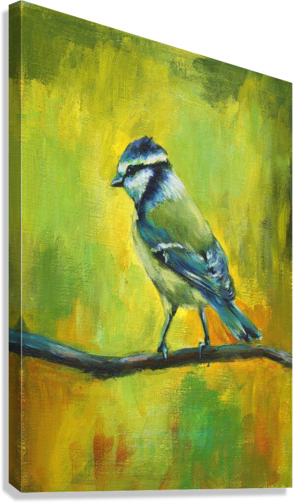 Blue tit bird portrait acrylic painting  Canvas Print