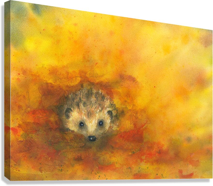 Hedgehog in autumn leaves  Canvas Print