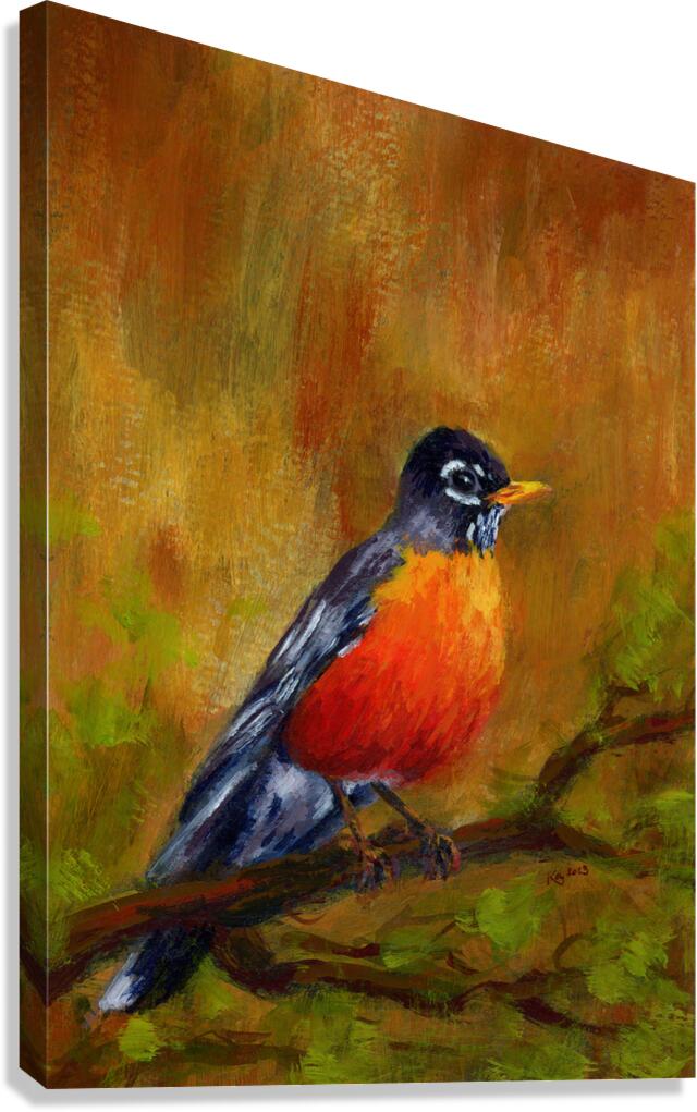 North American Robin portrait Impression sur toile