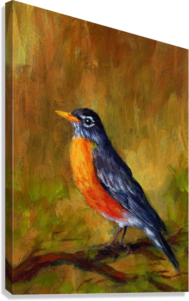 Portrait of a North American Robin Canvas Print