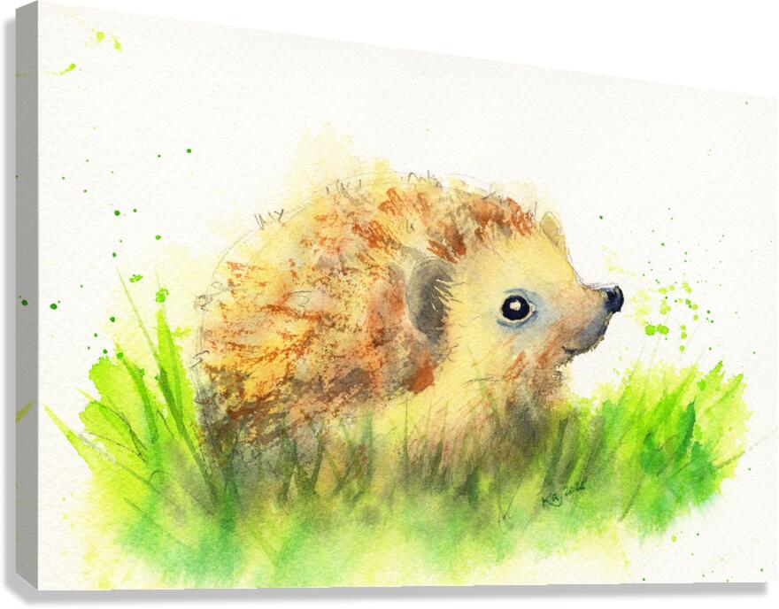 Cute little hedgehog baby Canvas Print