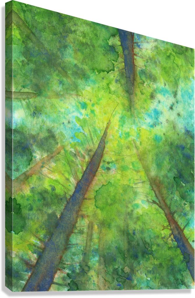 Looking up into the treetops handmade watercolor Canvas Print