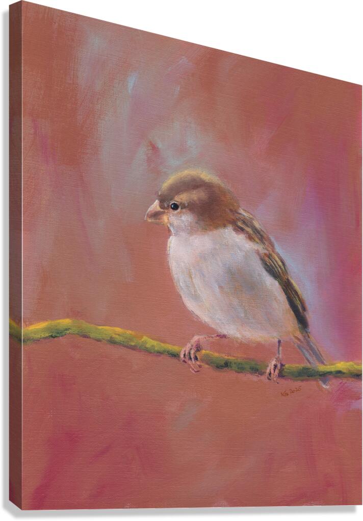 Sparrow meeting part three Canvas Print