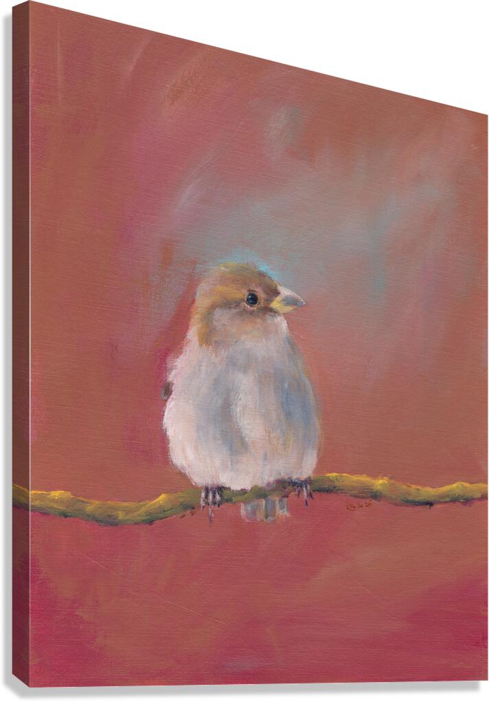 Sparrow meeting part two Canvas Print