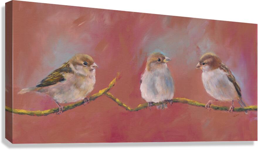 Three sparrows on a branch Canvas Print