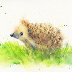 Curious little hedgehog in the meadow watercolor painting