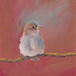 Sparrow meeting part two